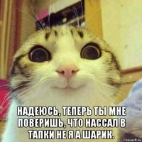  надеюсь, теперь ты мне поверишь, что нассал в тапки не я а шарик.