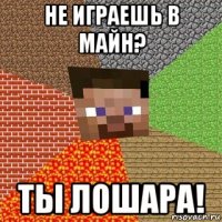 не играешь в майн? ты лошара!