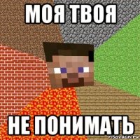 моя твоя не понимать