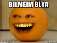 bilmeim blya 