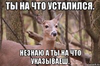 ты на что усталился. незнаю а ты на что указываеш.