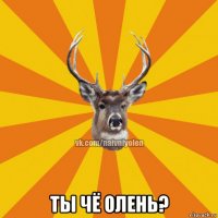  ты чё олень?