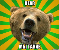 bear мы такие