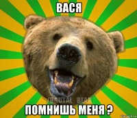 вася помнишь меня ?