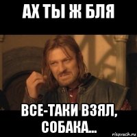 ах ты ж бля все-таки взял, собака...