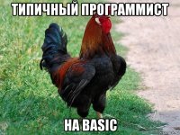 типичный программист на basic