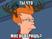 ты что мне не веришь?