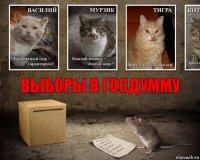 Выборы в госдумму