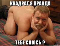 квадрат я правда тебе снюсь ?