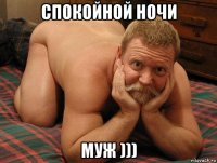 спокойной ночи муж )))