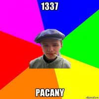 1337 pacany