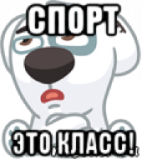 спорт это класс!