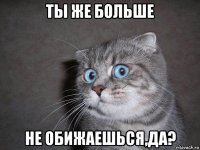 ты же больше не обижаешься,да?