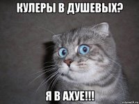 кулеры в душевых? я в ахуе!!!