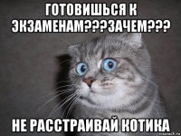 готовишься к экзаменам???зачем??? не расстраивай котика