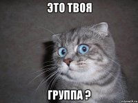 это твоя группа ?