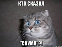 кто сказал "скума"?!