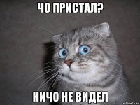 чо пристал? ничо не видел