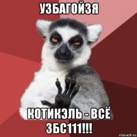 узбагойзя котикэль - всё збс111!!!