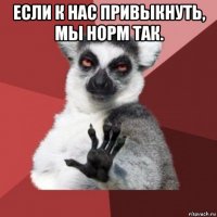 если к нас привыкнуть, мы норм так. 