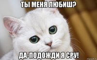 ты меня любиш? да-подожди я сру!