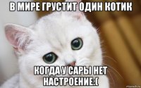 в мире грустит один котик когда у сары нет настроение:(