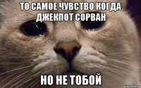 то самое чувство когда джекпот сорван но не тобой