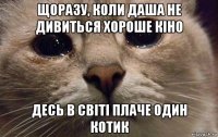 щоразу, коли даша не дивиться хороше кіно десь в світі плаче один котик