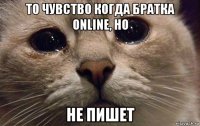 то чувство когда братка online, но не пишет