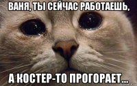 ваня, ты сейчас работаешь, а костер-то прогорает...