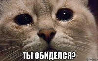  ты обиделся?