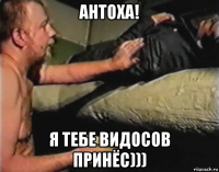 антоха! я тебе видосов принёс)))