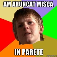 am aruncat misca in parete