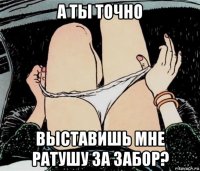 а ты точно выставишь мне ратушу за забор?