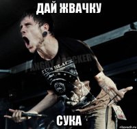 дай жвачку сука