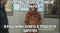 и тут пришли шрек со змеем горынычем и пошли мы бухать в тридеятое царство