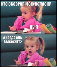 Кто обосрал мою коляску Ну я А когда она высохнет? 