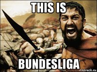 this is bundesliga