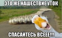 это же нашествие уток спасайтесь всеее!!!