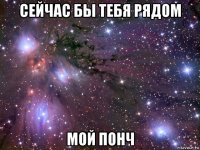 сейчас бы тебя рядом мой понч