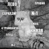 лево князя №1 №2 4 трамваичное правий продолженость того же сарказм плащ гамно,