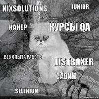 NixSolutions ListBoxer Курсы QA Selenium без опыта работы junior Савин Канер  