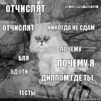 Отчислят Почему я Никогда не сдам Тесты Бля Армия саламалейкум Диплом Где ты Отчислят Бд оти Почему