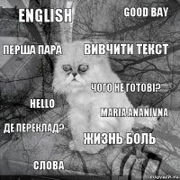 English Maria Ananivna вивчити текст слова Hello Good bay Жизнь боль перша пара де переклад? чого не готові?