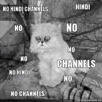 no hindi channels channels no no channels no hindi no no no hindi no