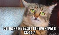  сегодня не будет вечера игры в cs:go ?