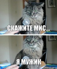 скажите мис... я мужик