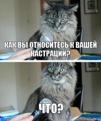 Как вы относитесь к вашей кастрации? ЧТО?