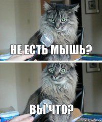 не есть мышь? Вы что?