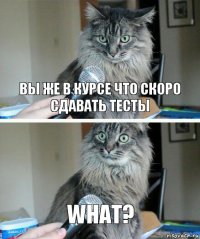 вы же в курсе что скоро сдавать тесты What?